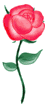 http://www.beruska8.cz/kyticky/kyticky2/43.gif